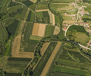 Projekat Jadar, najvazniji dogadjaji