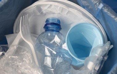 Zakon o upravljanju otpadom, Crna Gora, zabrana jednokratne plastike