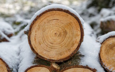 grejanje najjeftinije zima drvo struja srbija