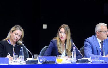 srbija zima gas dubravka djedovic cesec