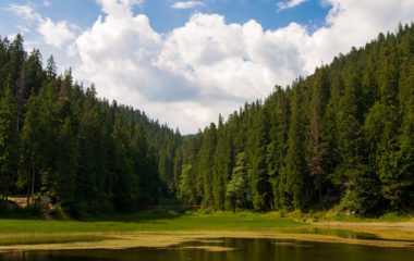 danska, sume, poljoprivreda