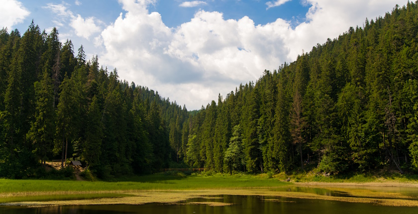 danska, sume, poljoprivreda