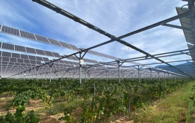 agrosolar vinogradi grozdje vino solarni paneli hrana