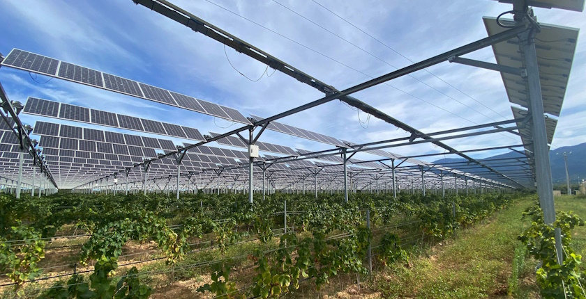 agrosolar vinogradi grozdje vino solarni paneli hrana