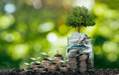 eu zelene obveznice izvestaj