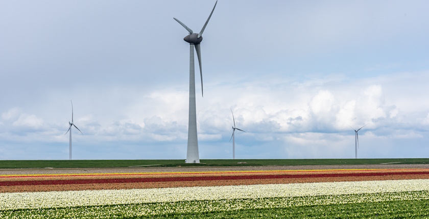 Gradjani Bugarske traze referendum o izgradnji vetroelektrana na poljoprivrednom zemljistu