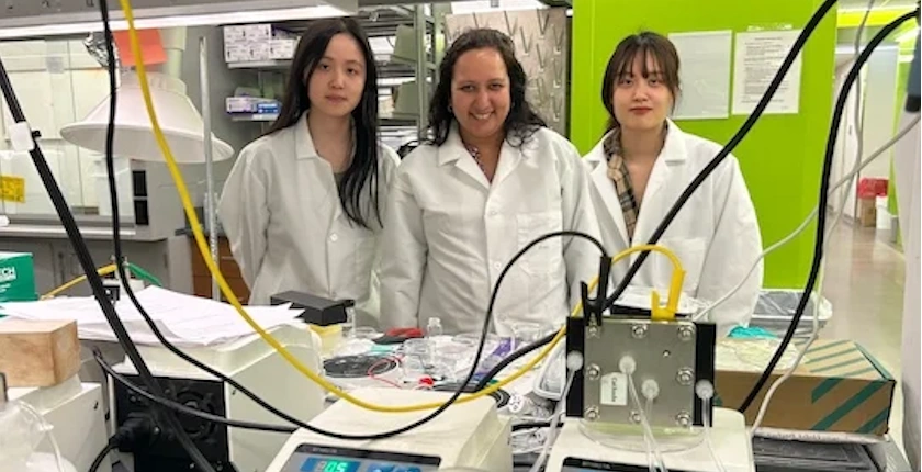 elektrohemijski reaktor