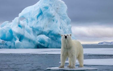 Foto-konkurs Hod kroz vodu, hoce li svet izgubiti sve svoje glecere