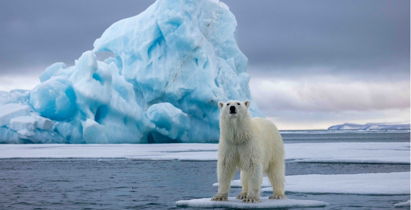 Foto-konkurs Hod kroz vodu, hoce li svet izgubiti sve svoje glecere