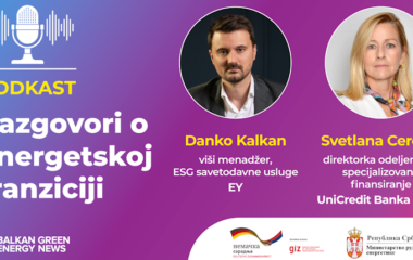 Razgovori o energetskoj tranziciji, Svetlana Cerovic