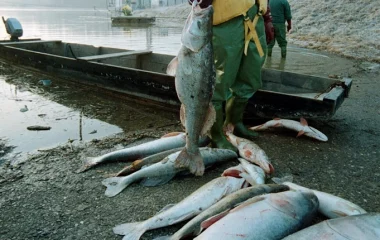 rumunija akcident u rudniku zlata