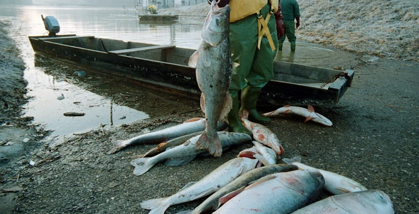rumunija akcident u rudniku zlata