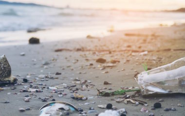 Nova studija otrila prisustvo mikroplastike u 99 odsto morskih plodova