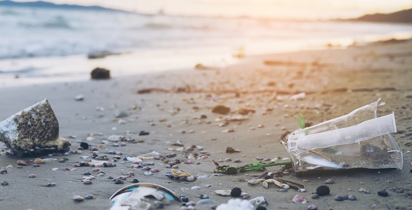 Nova studija otrila prisustvo mikroplastike u 99 odsto morskih plodova