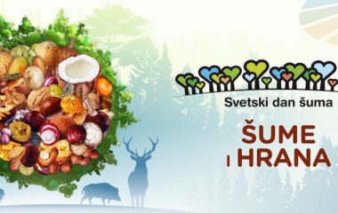 Svetski dan suma, sume i hrana