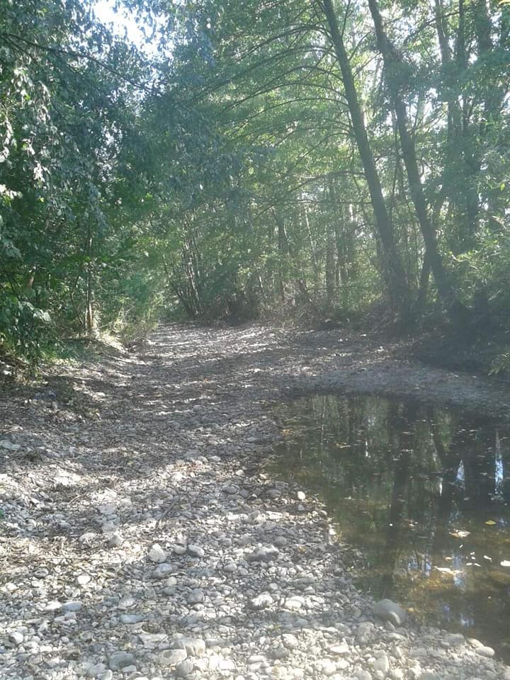 Zlotska reka 2021-2 - foto - Aleksandar Kulić