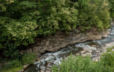 srbija apel naucnici studenica mhe