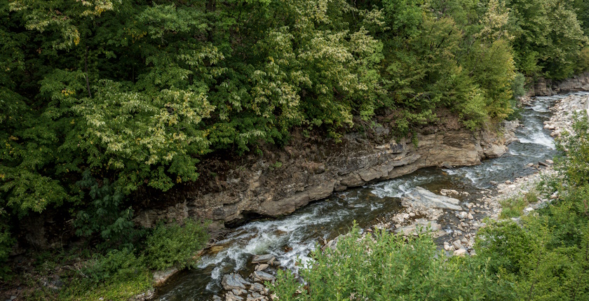 srbija apel naucnici studenica mhe