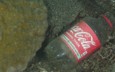 Coca-Cola proizvodi sve više plastike