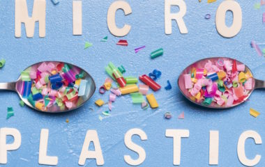 Mikroplastika ometa fotosintezu biljaka - otkriva nova studija