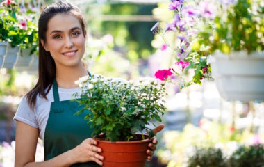 Zameni stari papir za sadnicu