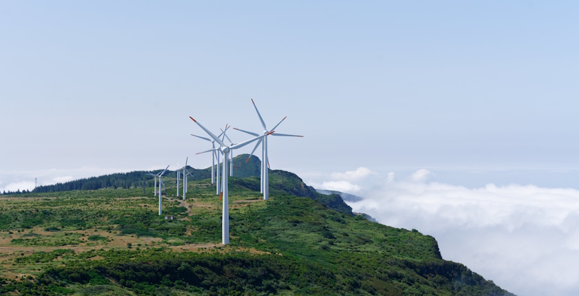 Protest u Bugarskoj zbog seče šume radi izgradnje vetroelektrane