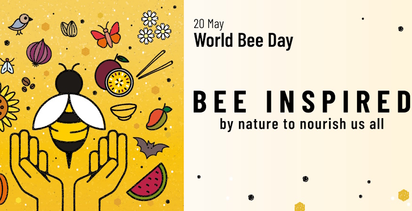 Svetski dan pčela 1