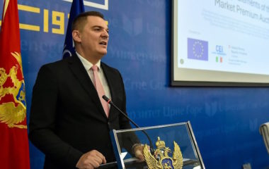 crna gora aukcije sahmanovic