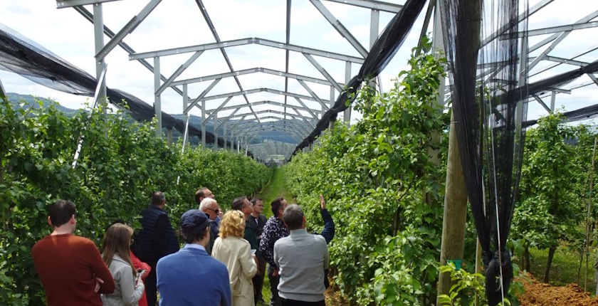 u sloveniji se razvija projekat agrosolara