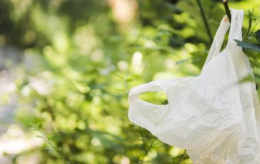 Zabrana plasticnih kesa u Vasingtonu povecala kolicinu otpada