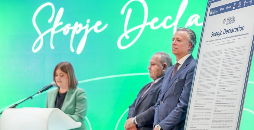 severna makedonija undp un forum odrziva energija skopska deklaracija sanja bozinovska grigorjan liguti