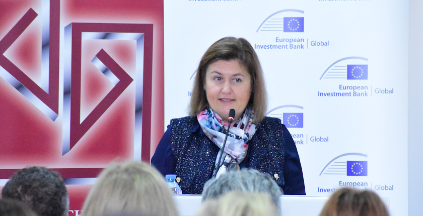 severna makedonija vodic komora firme dekarbonizacija bozinovska sanja