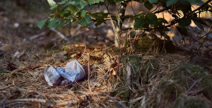 srbija svet depozitni sistem reciklaza istrazivanje