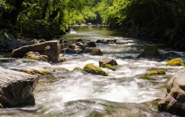 reka Studenica, UNESCO