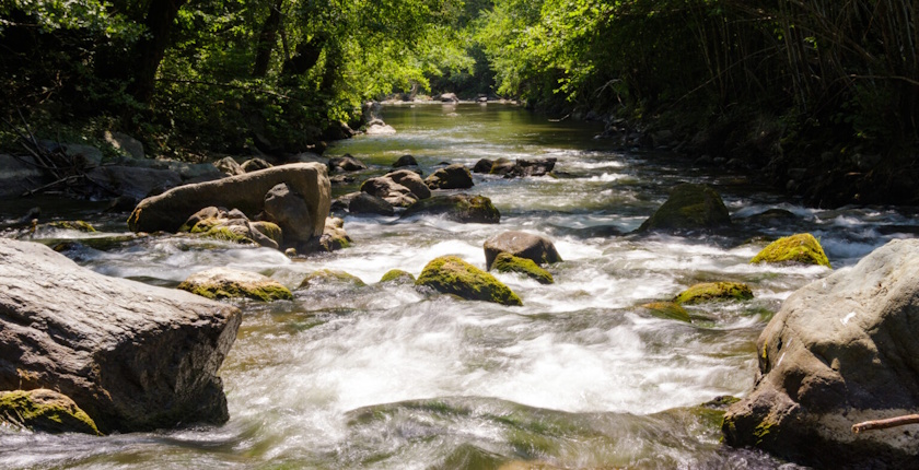 reka Studenica, UNESCO