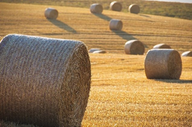 hrvatska strategija biogospodarstva bioekonomija