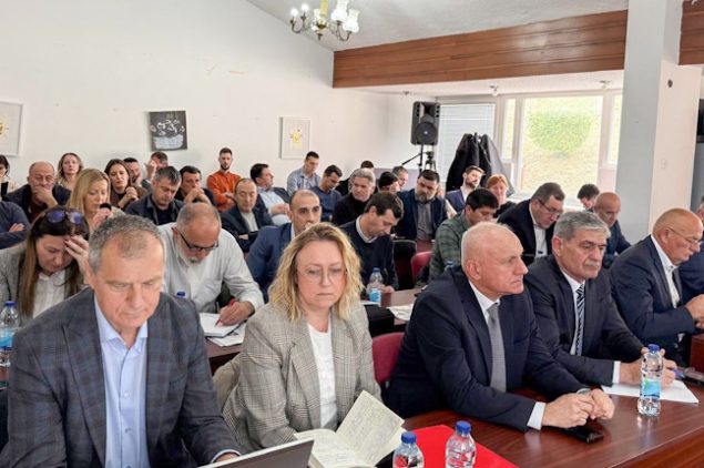 crna gora srbija eps javna rasprava HE Buk Bijela pluzine zivkovic