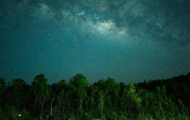 wwf sat za nasu planetu 2026