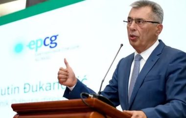 epcg projekti milutin đukanovic