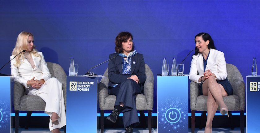 srbija eu region bef 2026 fleksibilnost elena kovac konstantinesku irena tokai alteo andjelkovic hitaci nikolic eds