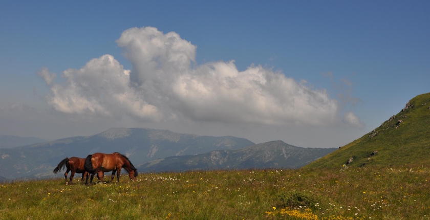 srbija program zastite prirode koalicija 27