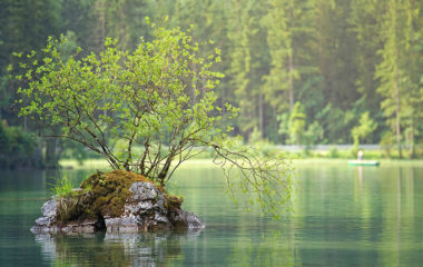 hydropower Brodarevo project