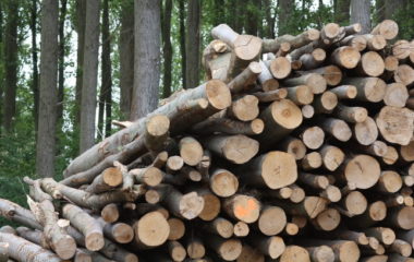 Project discussed for biomass usage in heating in Prijepolje