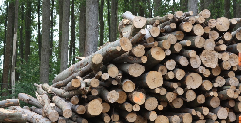 Project discussed for biomass usage in heating in Prijepolje