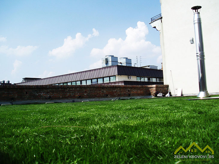green roof