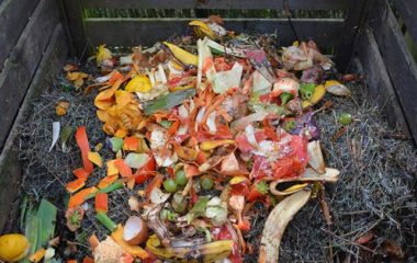 Romania waste management