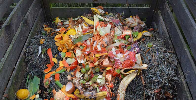 Environment ministry funding waste management