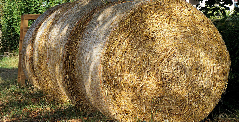 Biomass, biogas and geothermal getting EUR 100 million boost