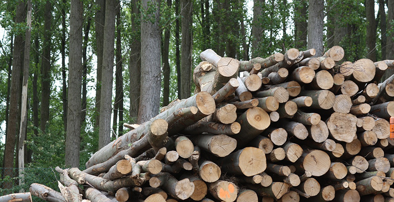 Household heating costs determined by fuel type and energy efficiency