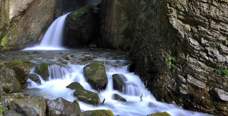 EBRD cancels the construction of HPP in Mavrovo park